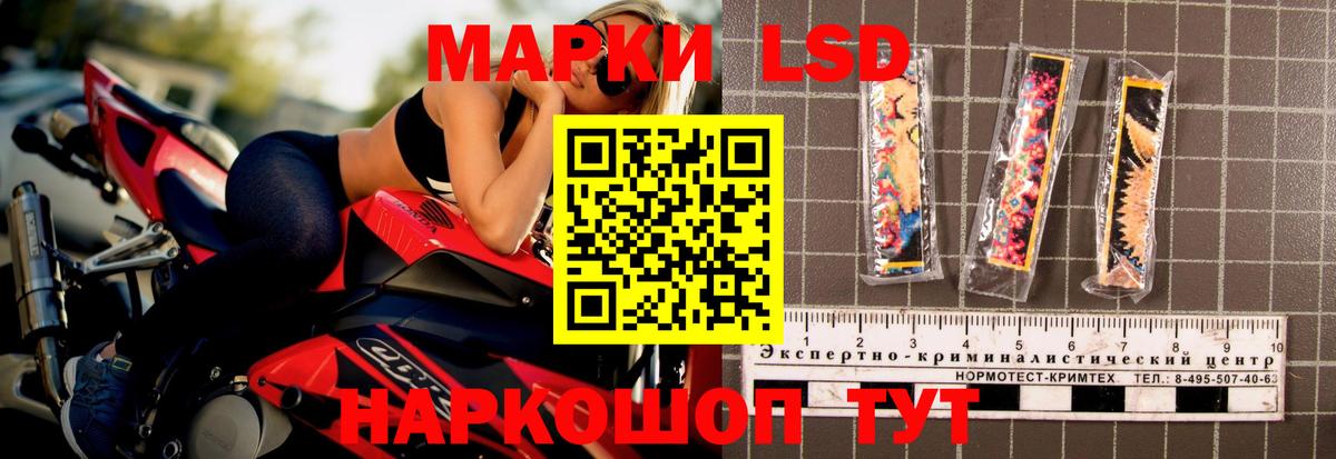 ЛСД экстази ecstasy  Вход с VPN  Нововоронеж  ЛСД экстази ecstasy 