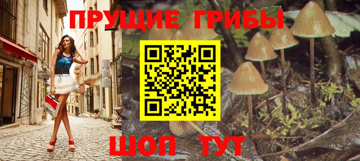 где можно купить   Галлюциногенные грибы MAGIC MUSHROOMS  Вход с VPN  Нововоронеж 